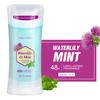 48H Antiperspirant Deodorant Stick, Long Lasting Odor Control Sweat Defense, Fresh Underarm Scent