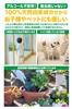 CLEAN HOUSE Stink Bug Repellent Spray, Piricolon, 300ml, Made In Japan, Natural Ingredients, for Balconies and Outdoors