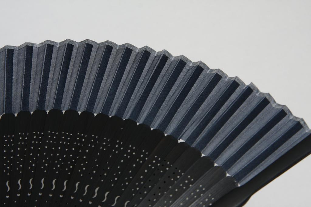 Silk Fan with Fan Boxed [Hasegawa] Men's Case, (Navy/Black Ribs)