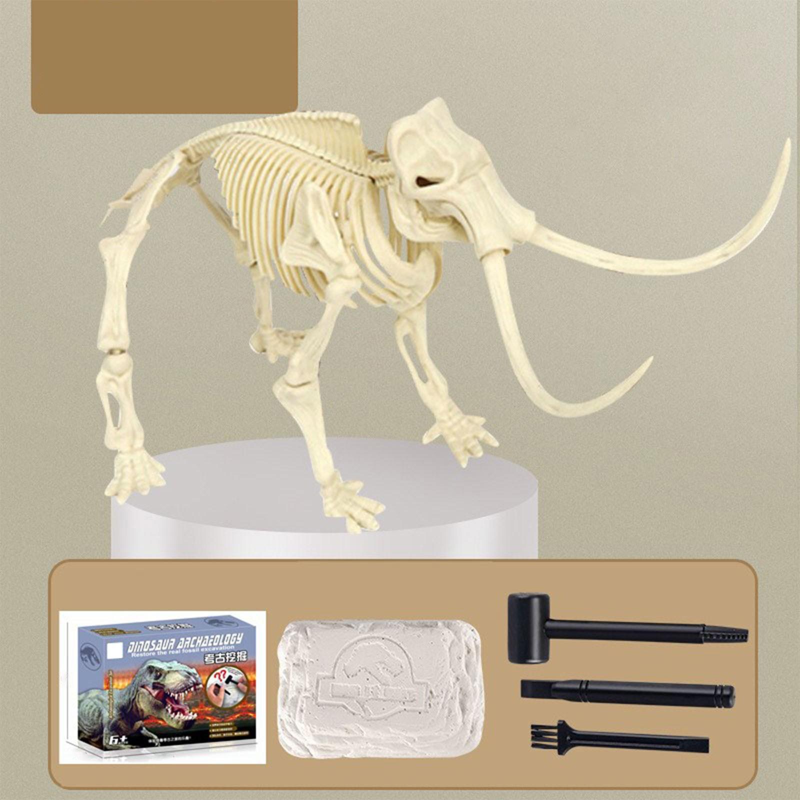 

Набор для раскопок динозавров | Креативный набор для раскопок динозавров, набор для раскопок, подарок для мальчиков и девочек One Size