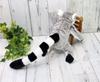 Take Off Ring-Tailed Lemur M