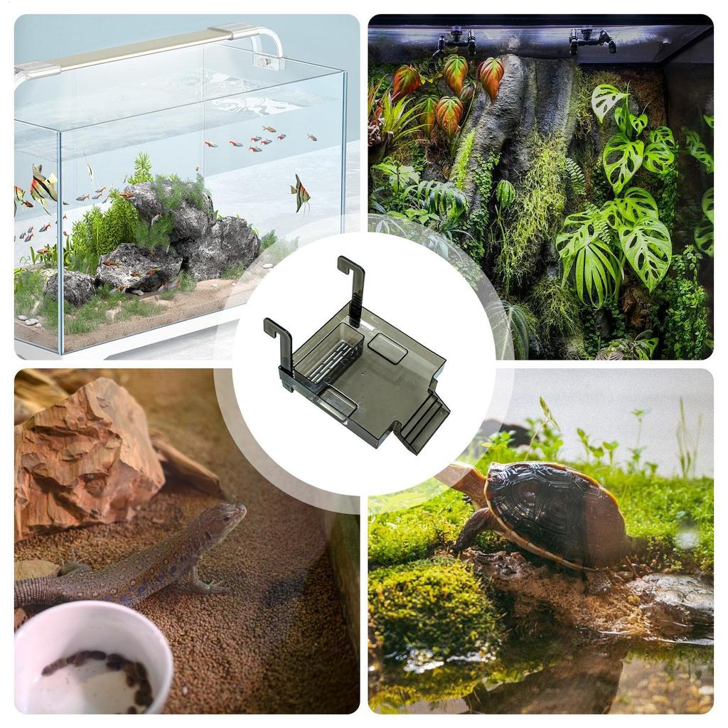 Turtle Basking Dock Animals Resting Land Basking Area For Aquatic Turtle Tank For Frog Terrapin Salamanders Crabs Tortoise