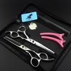 6" Stylish Hairdressing Scissor Set (Straight & Thinning Shears + Pouch + Comb)