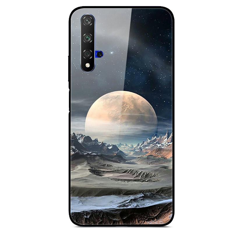 For Huawei Nova 5T Case Tempered Glass Cover 3D Cat Printing Case For Huawei Nova 5T 2019 5 T Phone Case For Huawei Nova5T Cover