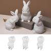 Silicone Rabbit Mold Fondant Bunny Mold Chocolate Cake Mold 6-cavity Mousse Cake Decoration Dessert Baking Mold DIY Candle Model