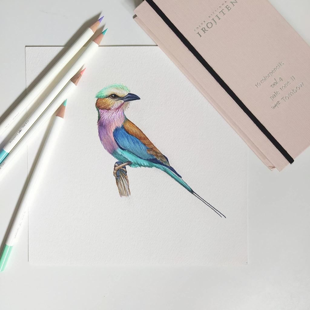 Tombow Colored 30 Colors Color Volume 3 Glossy Fluorescent Pencils, (Book Type), Dictionary, (30 Colors) CI-RTC