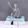 Shimmering Skeleton Hanging Ornament Halloween Skeleton Decorations With Adjustable Joints For Porch Door Window Display