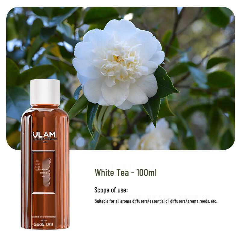MEYOUNG Desktop White Tea Aroma Diffuser & Essential Oil