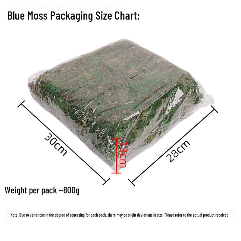 Artificial Moss Grass Mat for Window Display, Potted Plant, and Landscaping Decoration