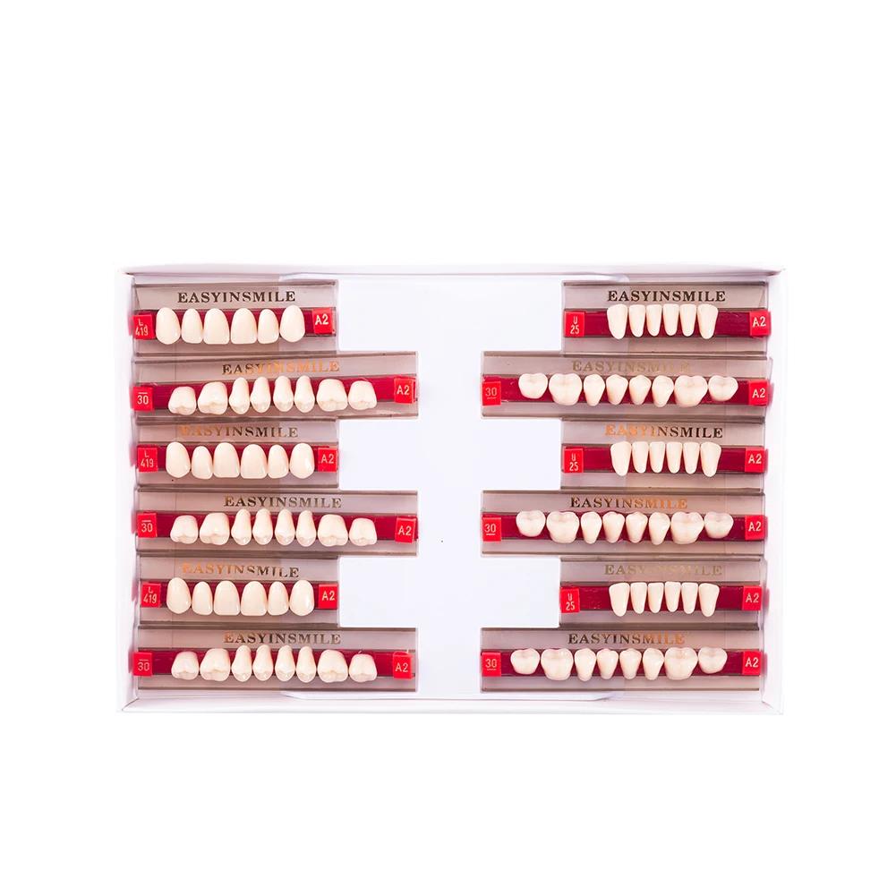 16/12 Sätze/Karton Zahnprothese Zähne Oberkiefer Frontzähne Unterkiefer Seitenzähne Dentier Synthetisches Polymerzähne Zahnmedizinische Ausbildungsmodell