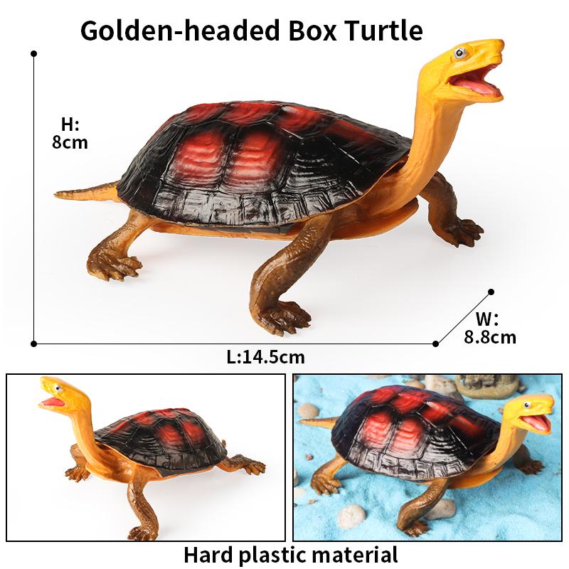 Oenux Sea Life Animals Model Leatherback Tortoise Turtle Growth Cycle Ocean Figurines Action Figures PVC Collection Kid Toy Gift