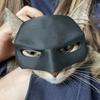 Maska netopýří kočky a mstitele Kreativní černá kočka Netopýří maska ​​Dekorativní kočičí maska ​​Kočičí poloviční maska ​​pro Halloween Cosplay Chovatelské potřeby