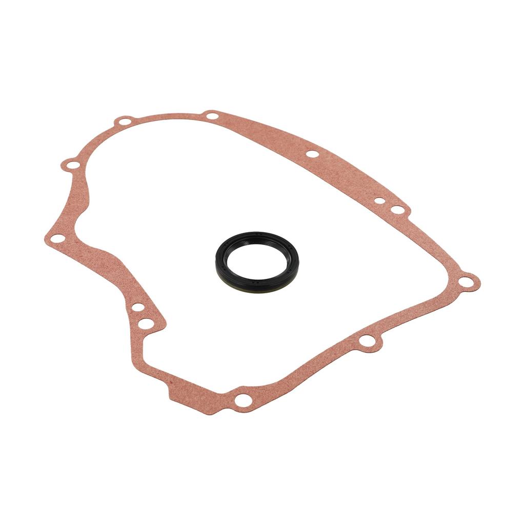 Crankcase Gasket Set with Seal for Various Engine Models 594195 795387