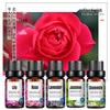 Lavender & Neroli Essential Oil Set for Aromatherapy Rose Humidifier - 10ml Exclusive Blend