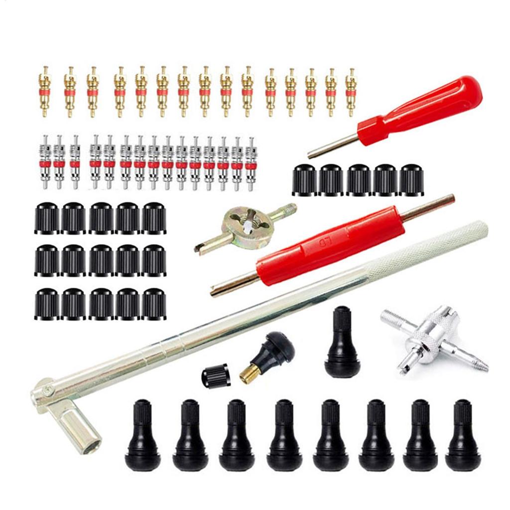 Tire Valve Removal Tool Installation Kit 65 Pieces Automotive Maintenance Supplies Car Tire Valve Core Remover For Truck ATV