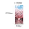 next.design Noren Noren 180cm Length Spring Cherry Blossom Row Flowers Long Length Decoration Decoration Stylish Japanese Modern Scandinavian Long