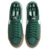 Nike Blazer Low Gt Sb 'Green Gum' Skateboard Shoes DC0603-300