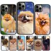 Pomeranian Dog Coque Shell For iPhone 17 Air 15 16 14 13 12 Pro Max 11 Pro Max Plus Phone Case Cover