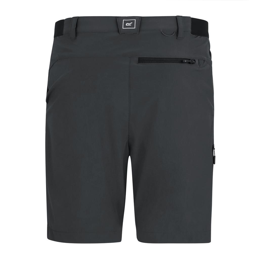 Regatta Professional Mens Light Insect Repellent Travel Shorts
