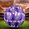 Austria Vienna FC Size 5 Soccer Ball, Machine-Stitched PVC, Durable & High Bounce, All Ages Fit, Fan Merchandise, Matches & Outdoor Use.