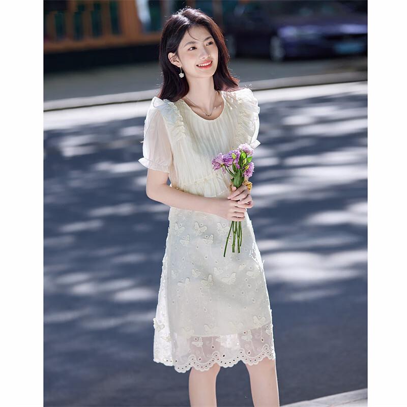 Shangjing Butterfly Embroidered Fairy Dress