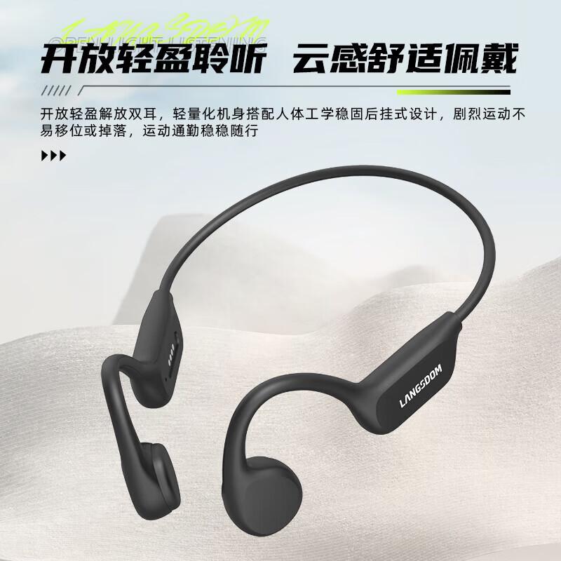 

Lanston BE17 Amphibious Bone Conduction Sports Headphones