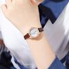 Ladies Light Luxury Fritillary Dial Gypsy Star High Value Student Quartz Waterproof Belt Watch