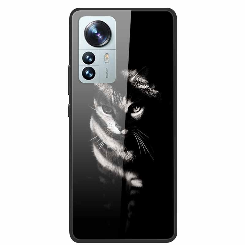 For Redmi Note 12S Case Tempered Glass Hard Back Cover for Xiaomi Redmi Note 12 Note12 Pro 4G 5G Phone Cases Note12S 12 S 12Pro