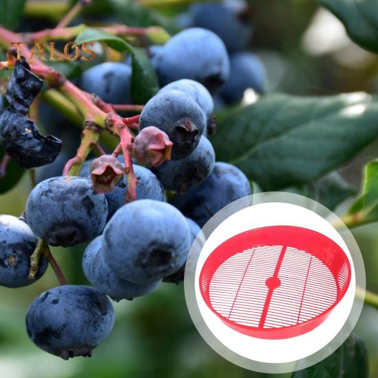 Mustika toidusõel kurn puhastusalus tühjendus marja juurviljakorvi pesemine köögi puu- ja juurviljade puhastamiseks kondiitriärile