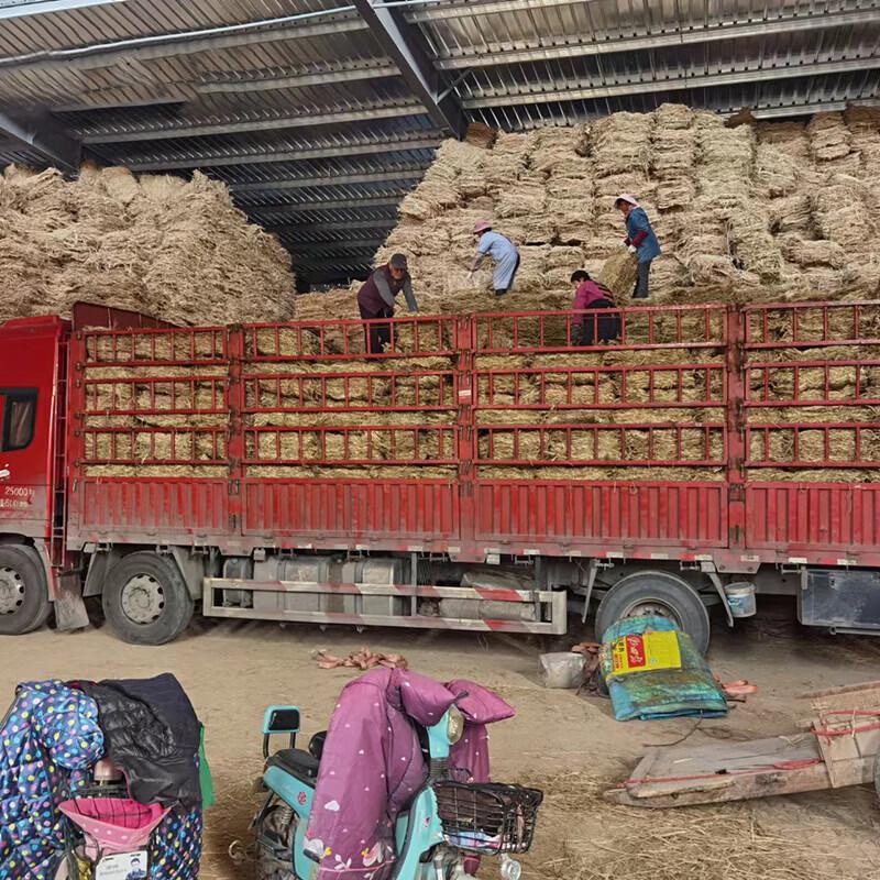 Straw Flood Control & Insulation Mats (100 Pcs)