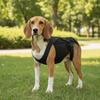 Adjustable Dog Back Support Vest Breathable Back Protector Pet Mobility Aid Comfortable Pet Support Harness Auxiliary Support