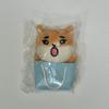 Sealed) DAY6 Japan MD Denimals Bag Charm Doll Keyring Case