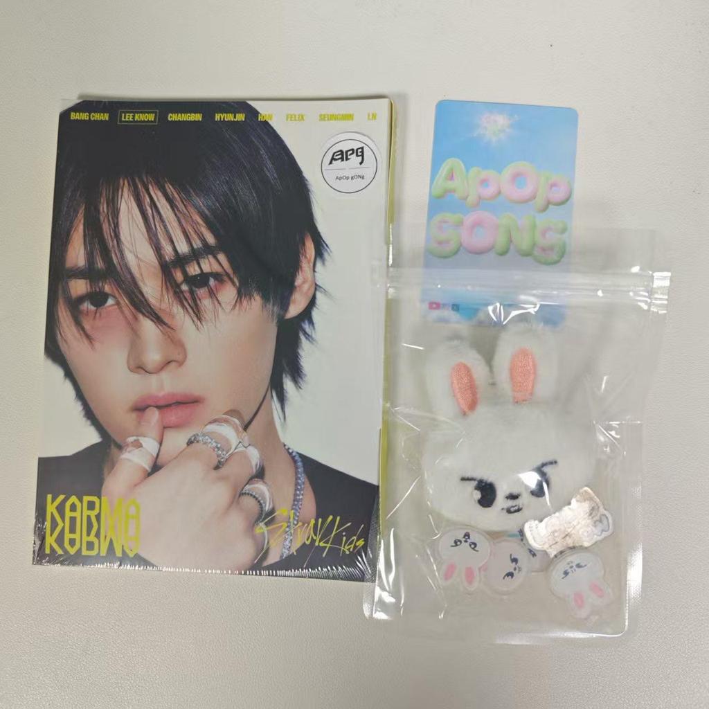 Stray Kids Accesorii Crocs, 17 buc