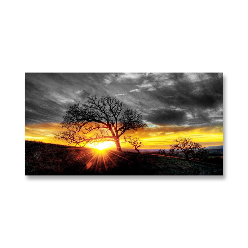 

Современный Восход Закат Пейзаж Холст Картина Солнце Дерево Настенные Панно Тайна Цвет Стены Искусства для Гостиной Настенный Декор Куадрос 20x40cm No Framed