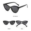 Vintage Sunglasses Stylish Fashion Sunglasses Cat Eye Sunglasses Fashion Designer Sun Glasses For Stylish Outfits Driving Female