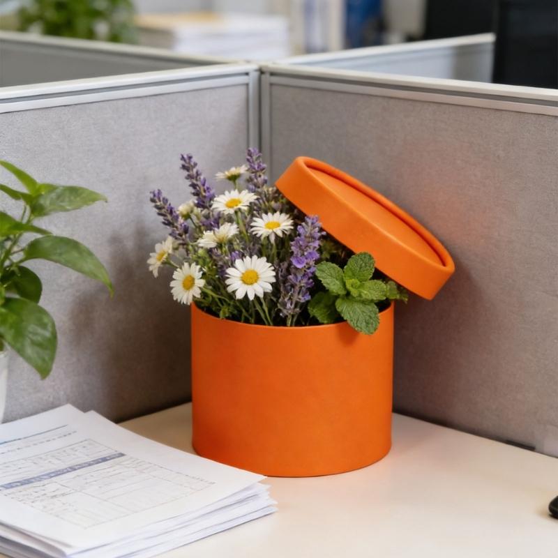 Small Flower Bouquet Packaging Box Round Cardboard Gift Box with Cover for Gift Wrapping And Home Decoration Enduring