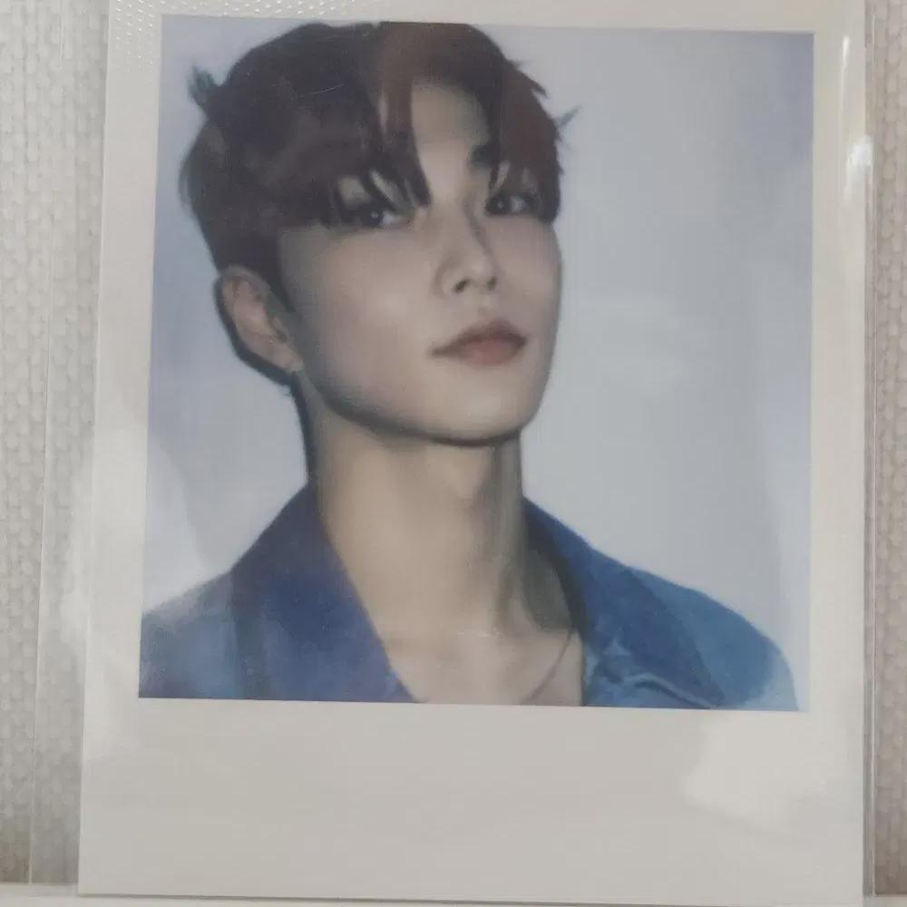 

Seunghan Season s Greetings Polaroid