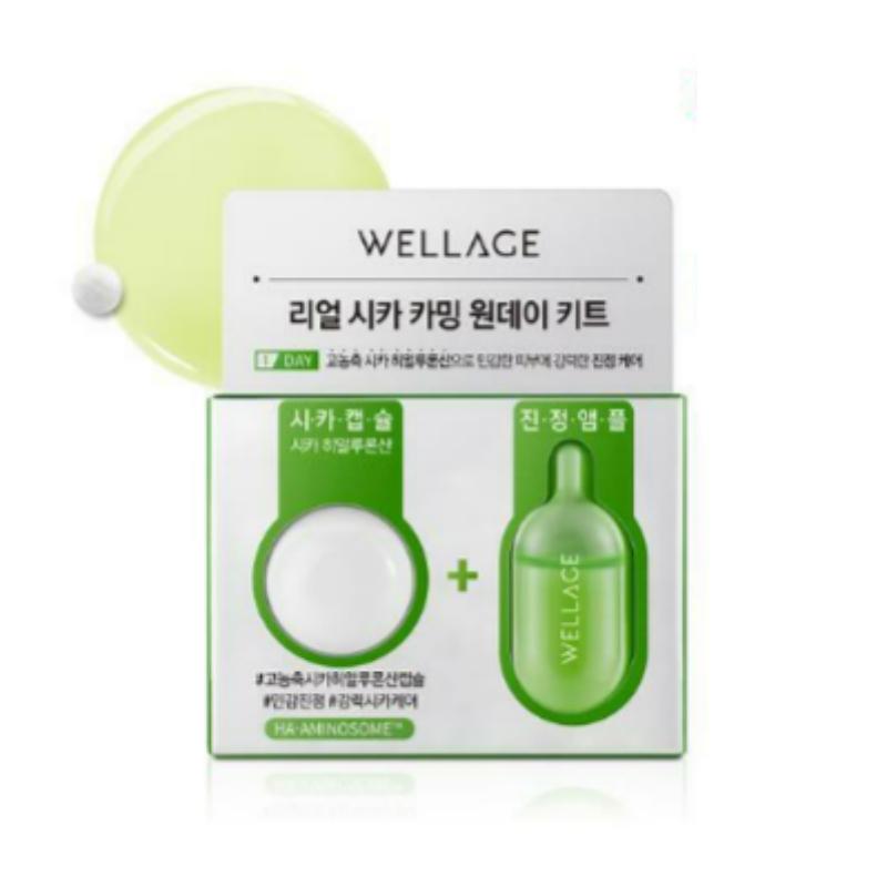 Wellage Real Cica Calming One Day Kit