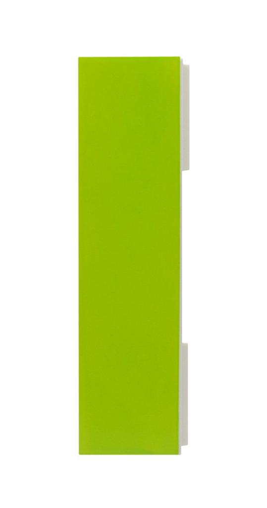 Tatsunosuke Hashimoto Crafts nurimono-zakka Tissue Box, Green