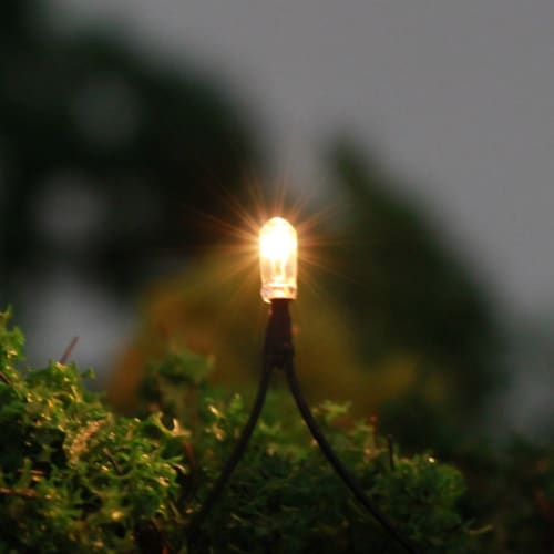 Pack of 50 3mm 1.5V Wheat Bulbs, Compact, with Wiring, for Diorama Illumination, Model Trains, Railways, Buildings, and More (GPW02W-50JP)