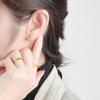 Fashion Versatile Cubic Zirconia Brass Earring Elegant Heart Shape Korean Decoration Women Hugging Earring Jewelry Heart Earring