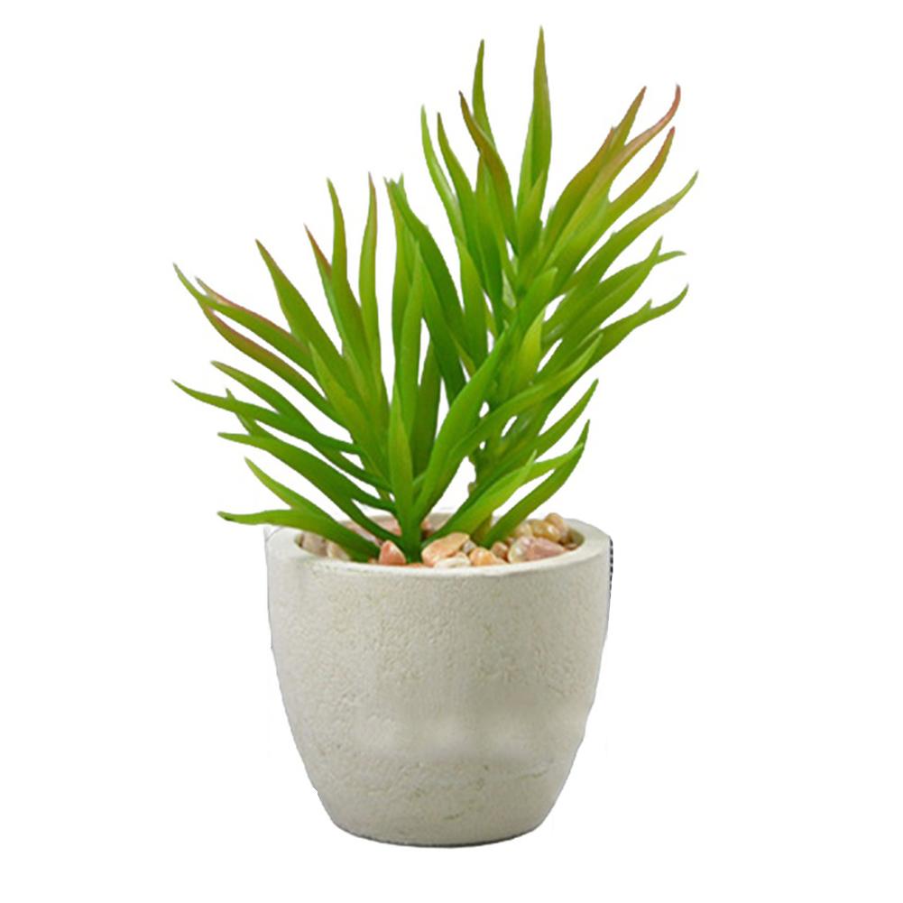 

Декоративные украшения Имитация украшения Сочный бонсай