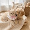 Cute Bowknot Cat Neckerchief Adjustable Soft Pet Bib Decorative Cat Scarf Daily Wear
