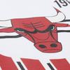 Mitchell & Ness NBA Origins Premium Vintage T-Shirt 'Chicago Bulls Team' Men's FC9265-CBUWHIT