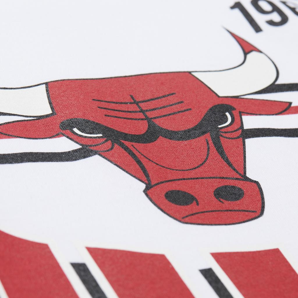 Mitchell & Ness NBA Origins Premium Vintage T-Shirt 'Chicago Bulls Team' Men's FC9265-CBUWHIT