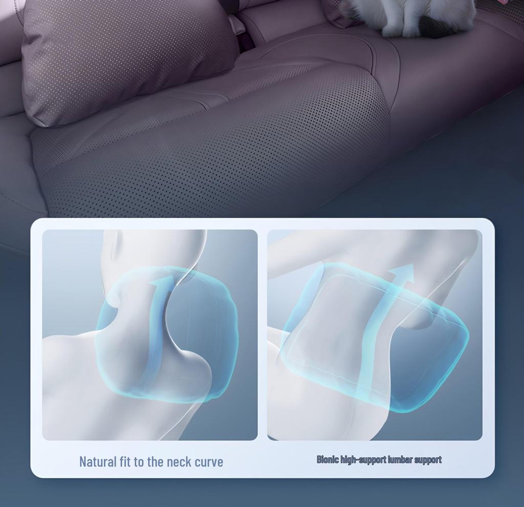 Shangjie Z7/Z7T Headrest and Lumbar Support Car Pillow Set