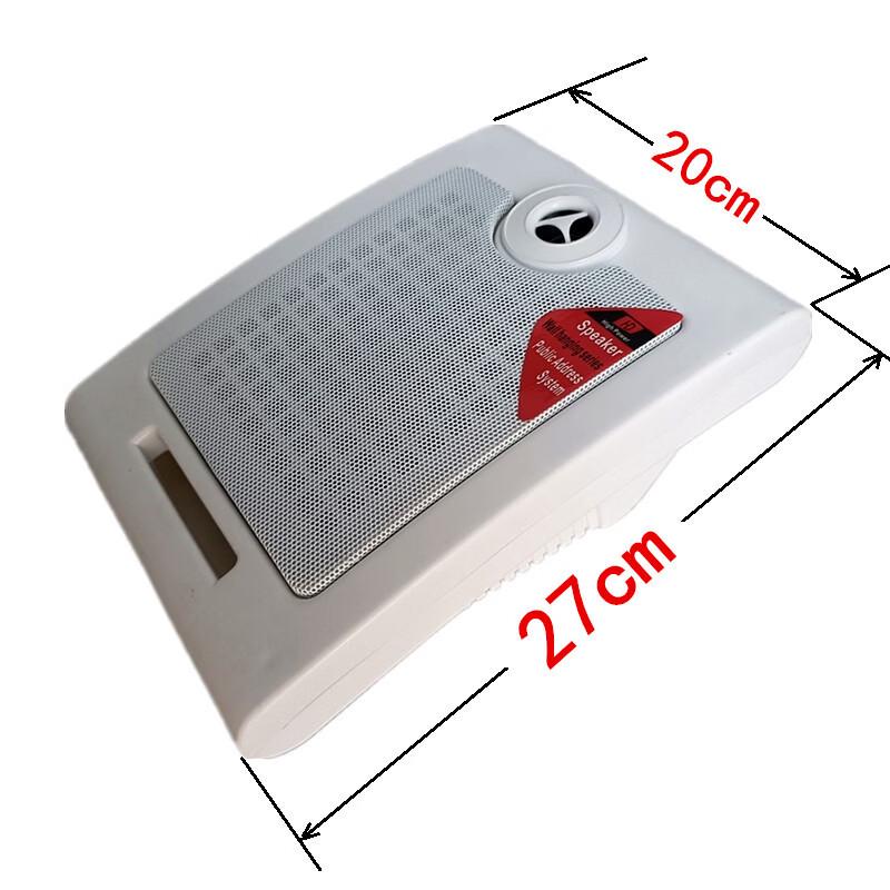 

Brangdy Constant-Voltage Ceiling/Wall Speaker