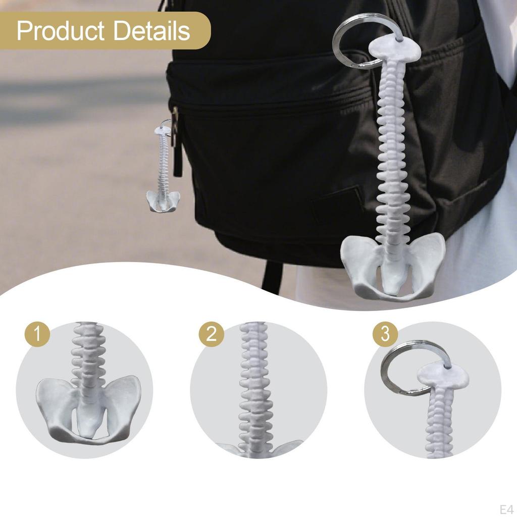 Human Spine Keychain Bag Charm PVC 15cm Handmade Small Lightweight Biology Key Pendant