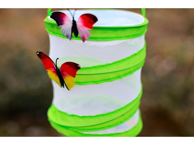 Trumpeter Portable Butterfly & Insect Habitat - PVC Greenhouse & Breeding Net Box