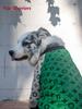 Large Dog Hoodie: Warm Patchwork for Autumn/Winter - Fits Samoyed, Border Collie, Poodle, Teddy, Puppy, Cat